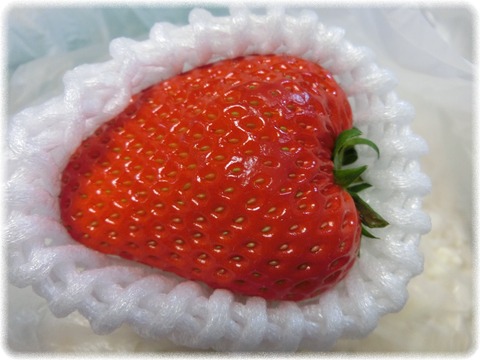 いちご