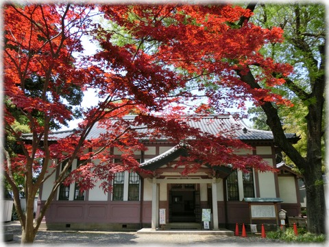 遺蹟図書館