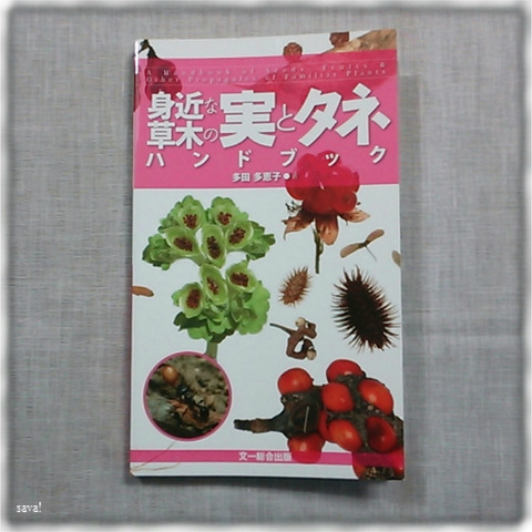 身近な草木の実とタネハンドブック