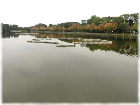 浮間公園