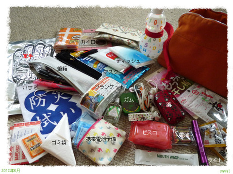 携行品