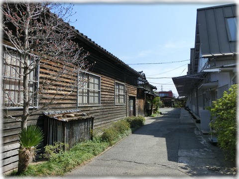 織物参考館“紫”