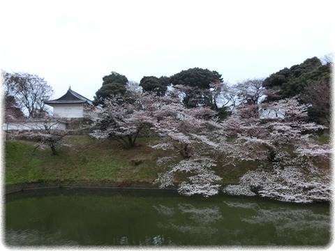 北の丸公園