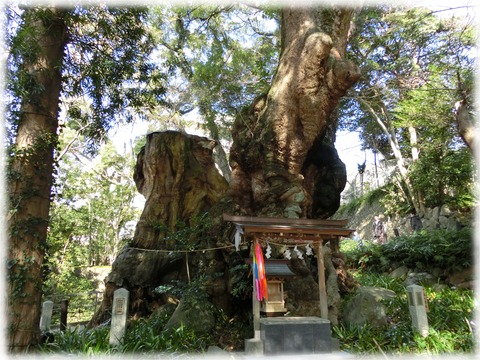 来宮神社16