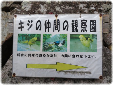 雨引山楽法寺