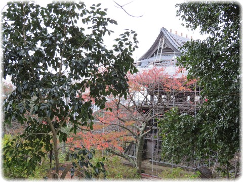 雨引山楽法寺