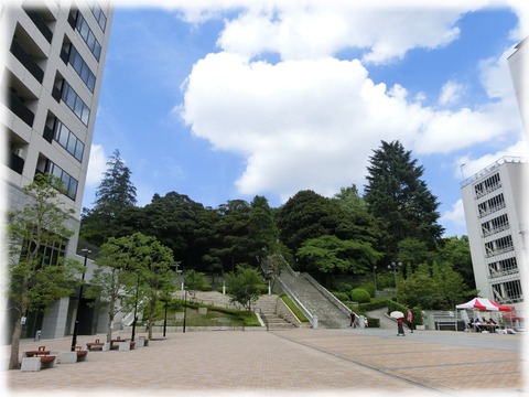 宇都宮二荒山神社