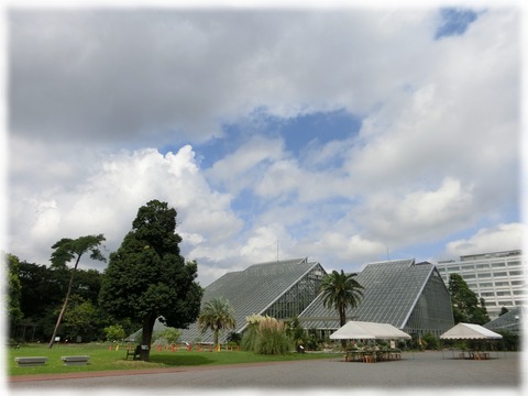 筑波実験植物園