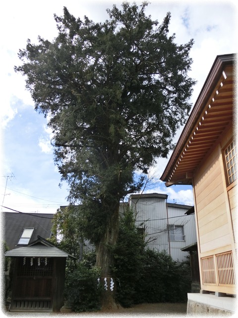 健田須賀神社