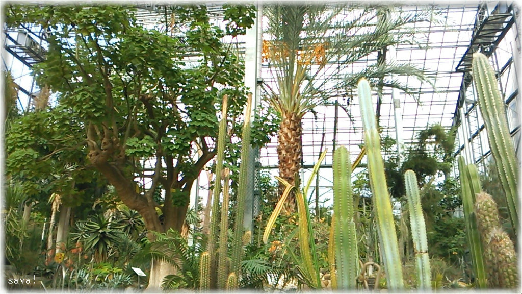 茨城県つくば市 国立科学博物館 筑波実験植物園 はかなり濃い内容の植物園だと思う ｓａｖａ