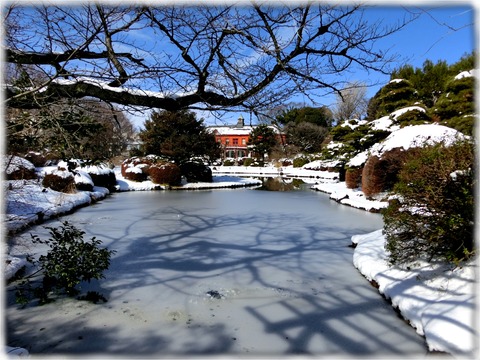 小石川植物園