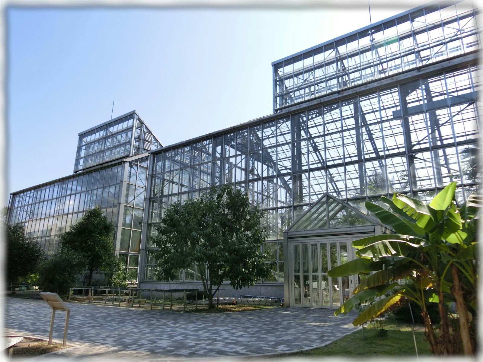 写真多用 茨城県つくば市 国立科学博物館 筑波実験植物園 で本日開催の きのこ展14 が異様な人気で驚いた ｓａｖａ