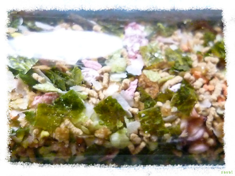 たこやきふりかけ