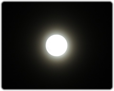 20241017