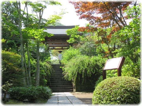 海蔵寺