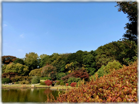 小石川植物園