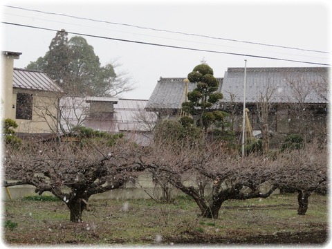 古新館・蔵カフェ