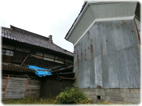 機那サフラン酒製造本舗