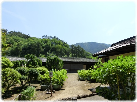 豪商の館　田中本家博物館