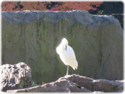 小石川後楽園