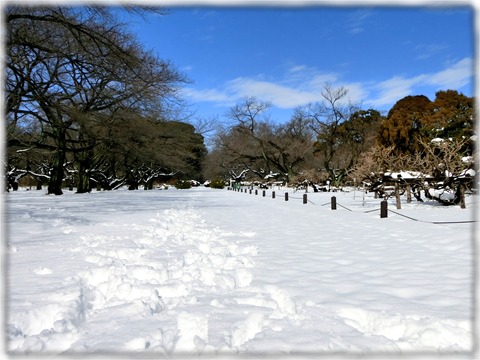 小石川植物園