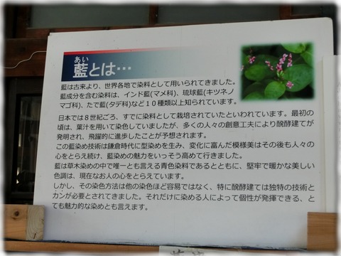 織物参考館“紫”