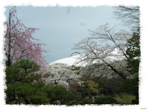 小石川後楽園