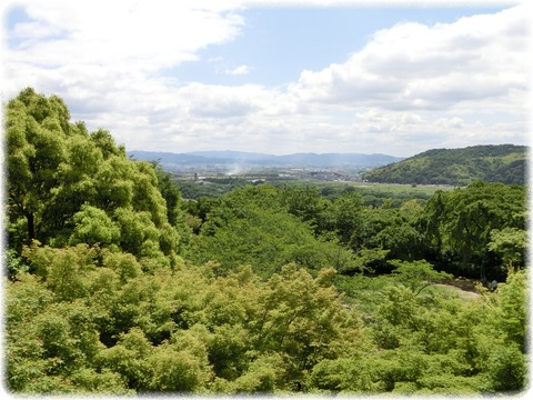 山崎_男山