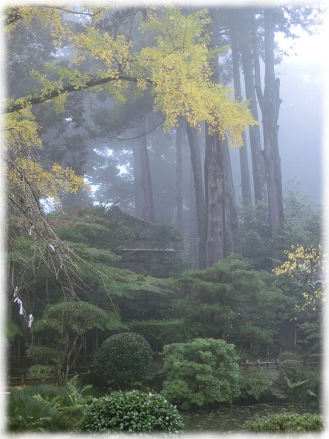 筑波山神社