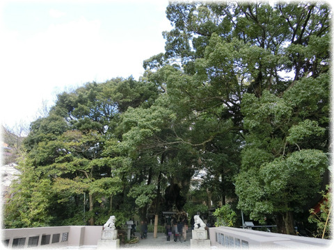 来宮神社