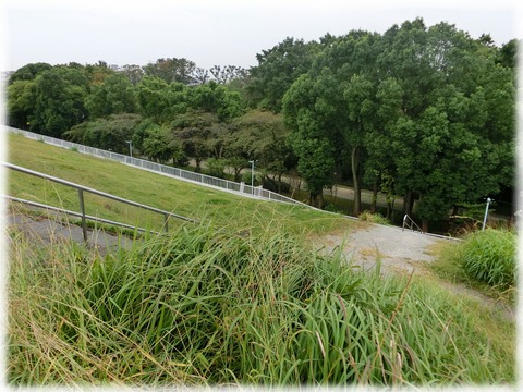 浮間公園