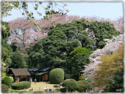 東京国立博物館