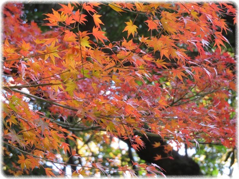 小石川後楽園