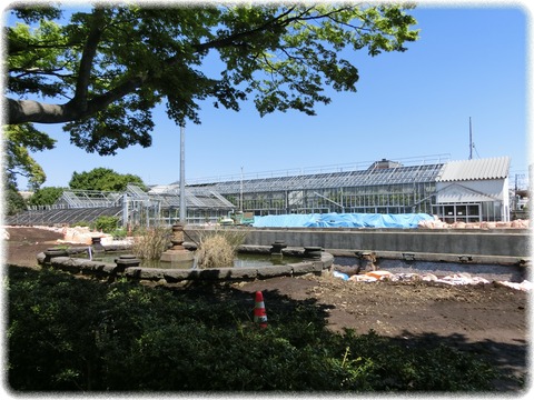 小石川植物園