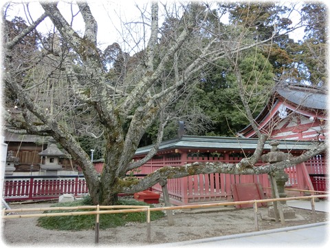 鹽竈神社