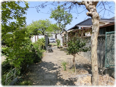 Y's cafe