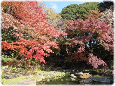 小石川後楽園