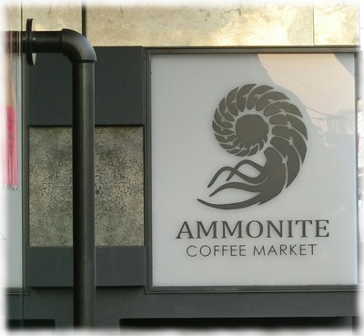AMMONITE