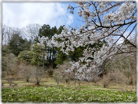 日光植物園