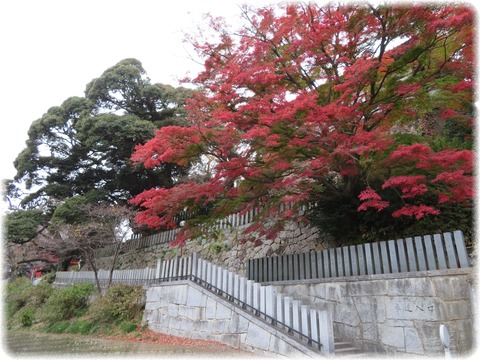 雨引山楽法寺