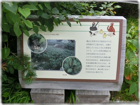 室堂