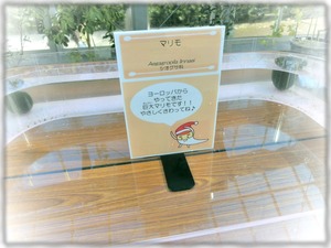 筑波実験植物園