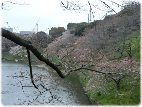 北の丸公園