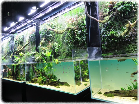 NATURE AQUARIUM展