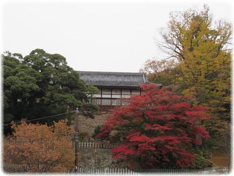 雨引山楽法寺