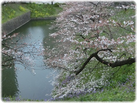 北の丸公園