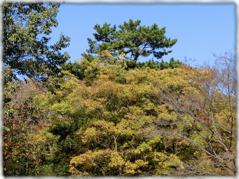 国立科学博物館附属自然教育園
