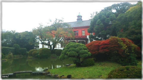 小石川植物園