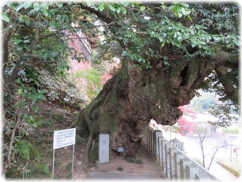 雨引山楽法寺