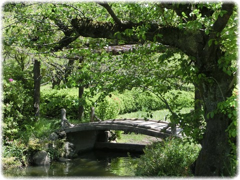 小石川植物園